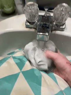 AP's sock soak submission