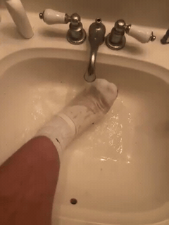 EndlessShrimp's sock soak submission