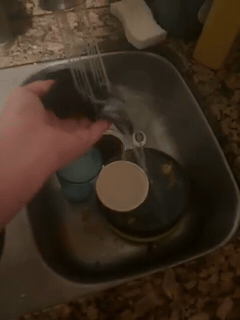 mold's sock soak submission
