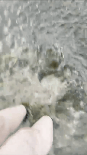 ScallionBagel's sock soak submission