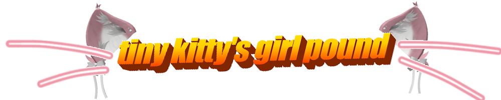 tiny kitty's girl pound banner